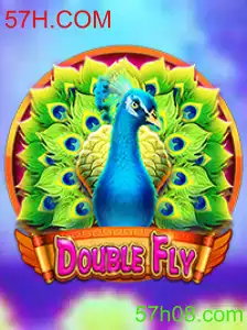 Explorando o Mundo de DoubleFly: Um Guia Completo do Jogo